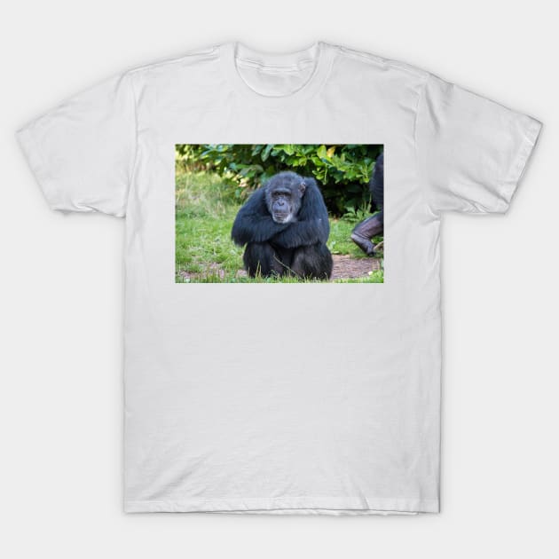 Chimpanzee T-Shirt by Russell102